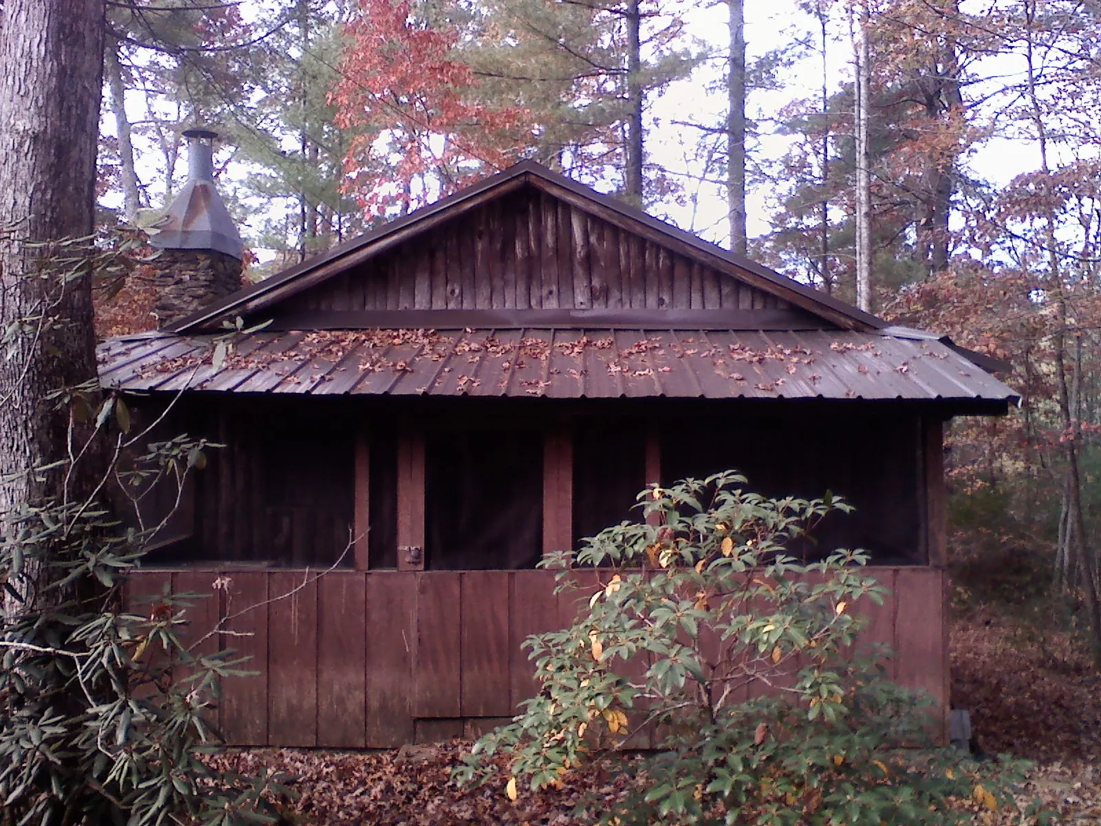 Metal roof over the screened porch of a rustic cabin in Bellona