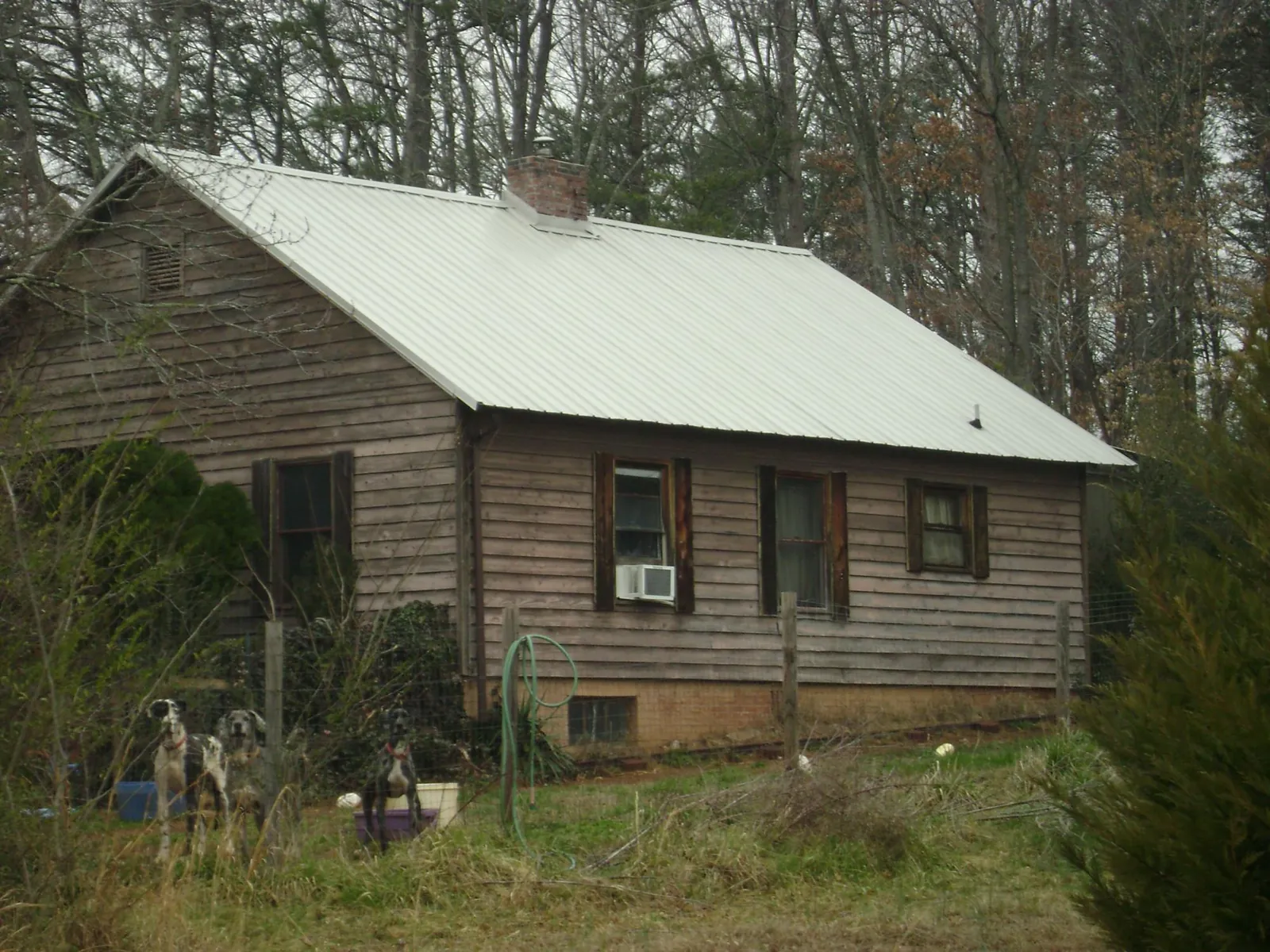 White metal roof on an old wood sided farmhouse, from a Asphalt Shingle Roof Repair job in Bellona